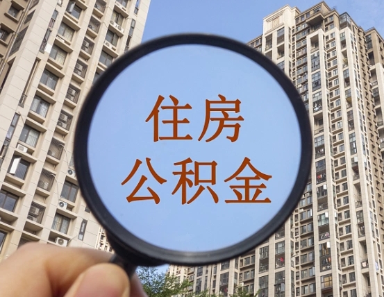 五指山退休后查不到公积金明细了吗（退休后公积金查询不到原因）